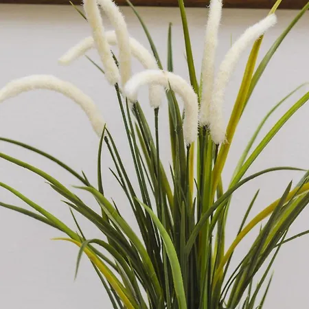 Lovrijenac بيت ضيافة دوبروفينك